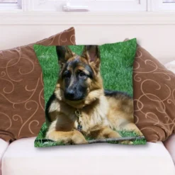 Photo Throw Pillow