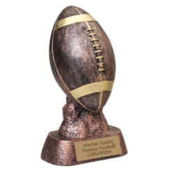 Bronze Football Award