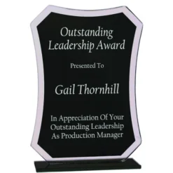 Reflection Glass Award