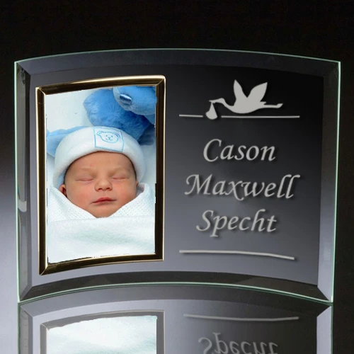 Curved Stork Frame 1 Curved Stork Frame