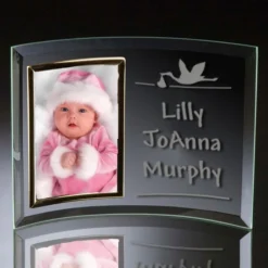 Curved Stork Frame 5 Curved Stork Frame -JDAN Gifts Shop stork curved glass frame 2